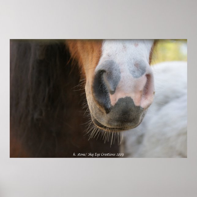 Póster Mini nariz (Frente)