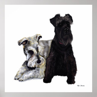 Póster Mini Schnauzer Buddies