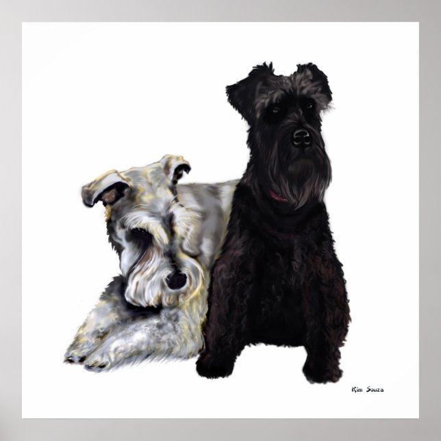 Póster Mini Schnauzer Buddies (Frente)