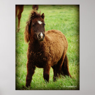 Póster Mini sorprendido