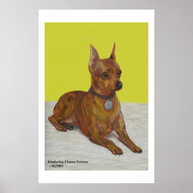 Póster Miniatura de Pinscher (Frente)