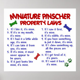 PÓSTER MINIATURA PINSCHER PL2