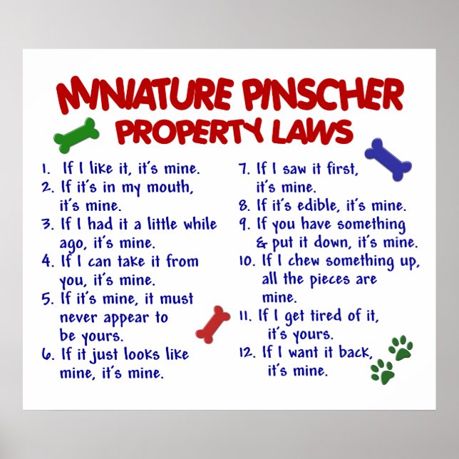 PÓSTER MINIATURA PINSCHER PL2 (Frente)