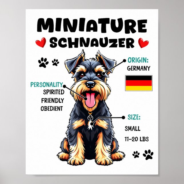 Póster Miniature Schnauzer Owner Funny Mini Schnauzer Lov (Frente)