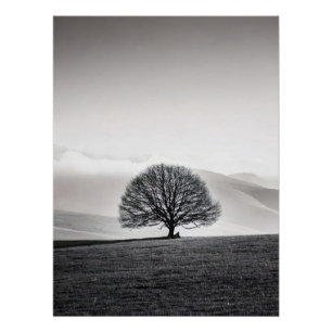 Póster Minimalist Solitary Tree Landscape   Black & White
