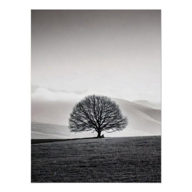 Póster Minimalist Solitary Tree Landscape | Black & White (Anverso)