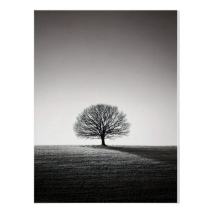 Póster Minimalist Solitary Tree Landscape   Monochrome