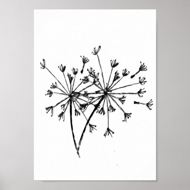 Póster Minimalista Dandelion Digital Sketch Art Black (Frente)