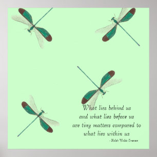 Póster Mint Dragonflies Lo Que Nos Detrás