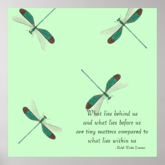 Póster Mint Dragonflies Lo Que Nos Detrás