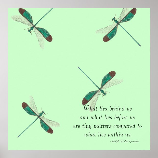 Póster Mint Dragonflies Lo Que Nos Detrás (Frente)