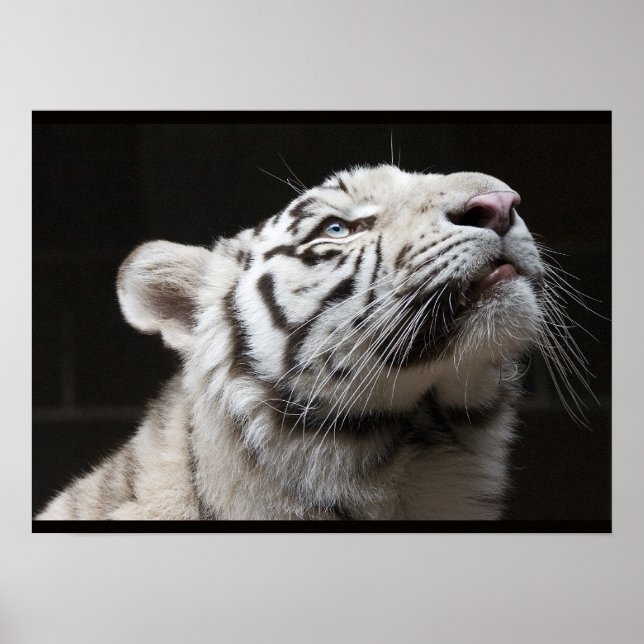 Póster ¡Mira a la Luz! (Frente)