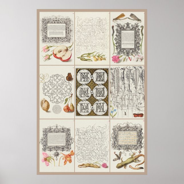 Póster Mira Calligraphiae Monumenta 003 (Frente)