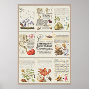 Póster Mira Calligraphiae Monumenta 005