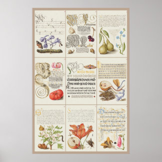 Póster Mira Calligraphiae Monumenta 005