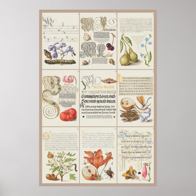 Póster Mira Calligraphiae Monumenta 005 (Frente)