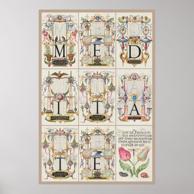 Póster Mira Calligraphiae Monumenta Meditate (Frente)