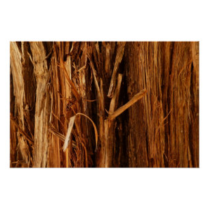 Póster Mira de corteza de madera texturizada de cedro