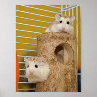 Póster Mira, ¿quién te está mirando? (poster)