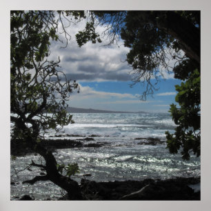 Póster Mirada a través de la ventana