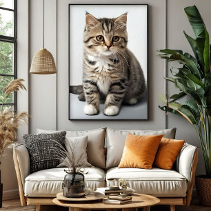 Póster Mirada de Gato Perdida en el Tiempo