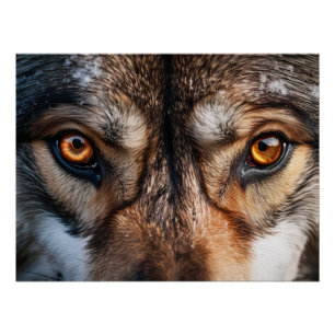 Póster Mirada de Lobo
