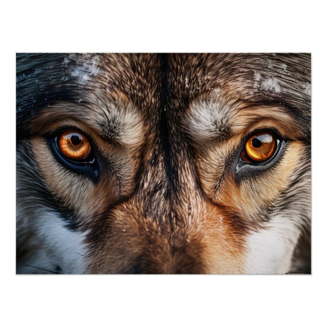 Póster Mirada de Lobo (Anverso)