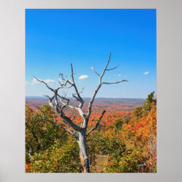 Póster Mirador de otoño en Mount Bohemia