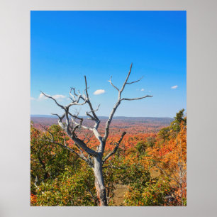 Póster Mirador de otoño en Mount Bohemia
