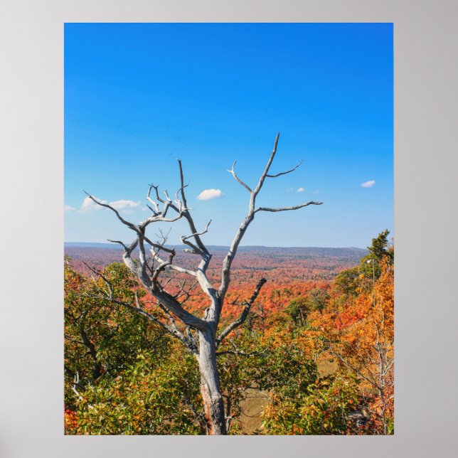 Póster Mirador de otoño en Mount Bohemia (Frente)