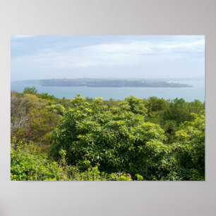 Póster mirador del puerto de sydney desde manly