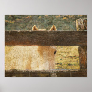 Póster Mirando a través de la cerca