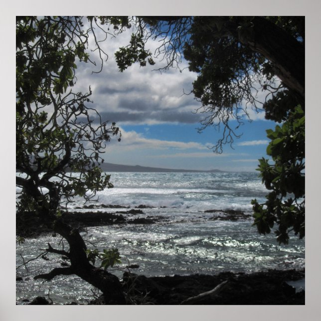 Póster Mirando a través de la ventana (Frente)