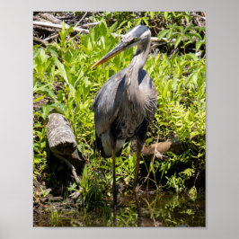 Póster Mirando Alrededor