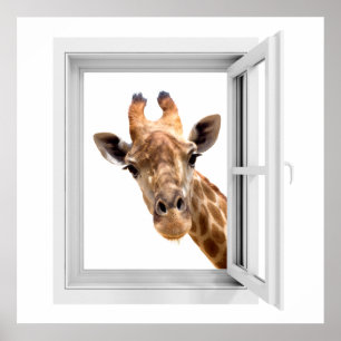 PÓSTER MIRANDO CONTIGO