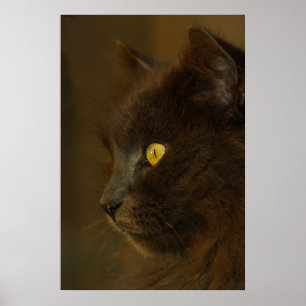 Póster Mirando hacia afuera