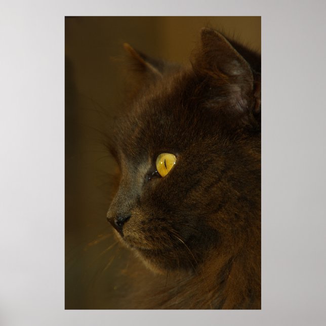 Póster Mirando hacia afuera (Frente)