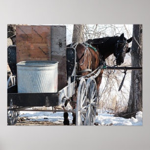 Póster Mirando hacia atrás