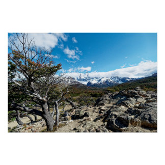 Póster Mirando hacia el Mt Fizroy