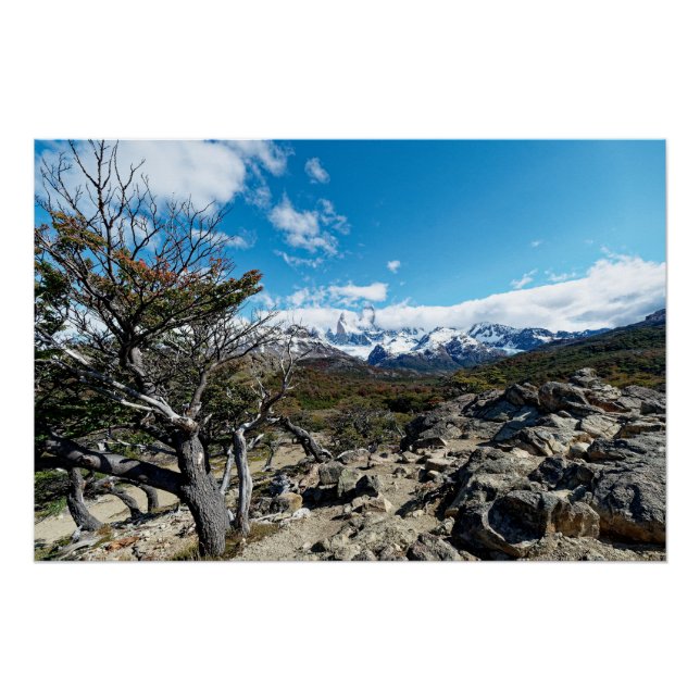 Póster Mirando hacia el Mt Fizroy (Anverso)