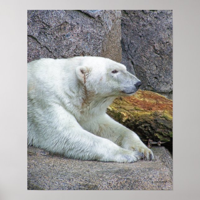 Póster Mirando hacia el norte (Frente)