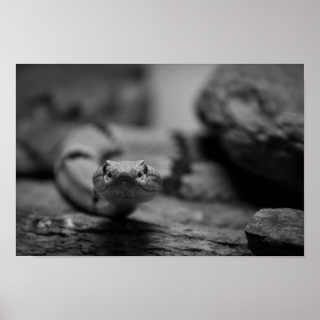 Póster mirándote (Frente)