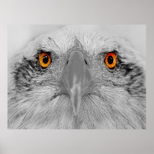 Póster Mirar a mis ojos