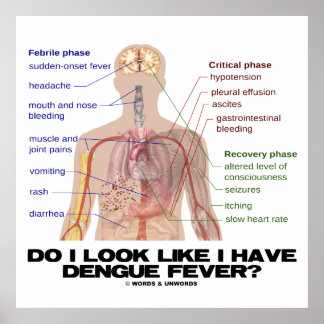 Póster ¿Miro como tengo fiebre de dengue? (Anatomía)