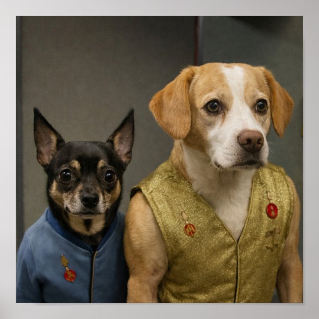 Póster "Mirror, Mirror" (Frente)