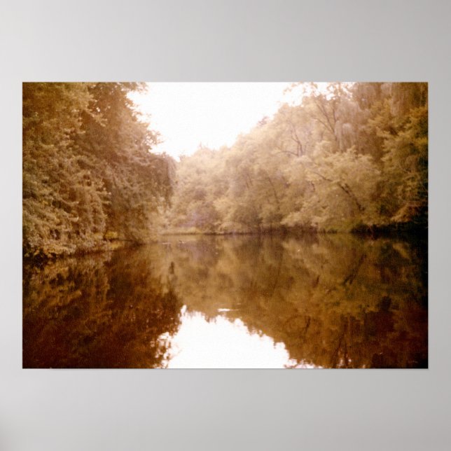 Póster Mirrored Lakeview (Frente)