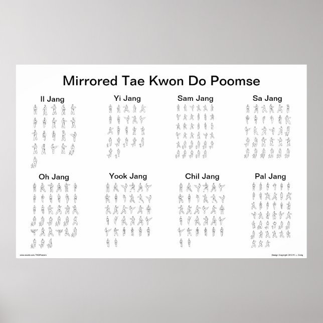 Póster Mirrored Tae Kwon Do Poomse (Frente)