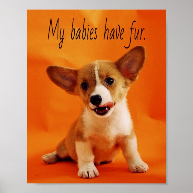 Póster Mis bebés tienen perro de piel, cachorros lindos,  (Frente)
