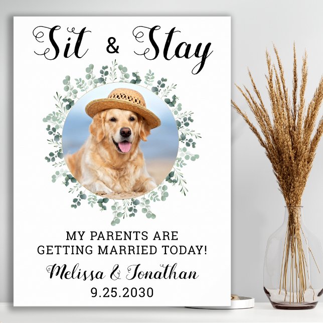Póster Mis Padres Se Están Casando Con Boda Mascota (Subido por el creador)