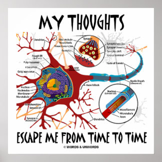 Póster Mis Pensamientos Escaparon De Tiempo En Tiempo Sin